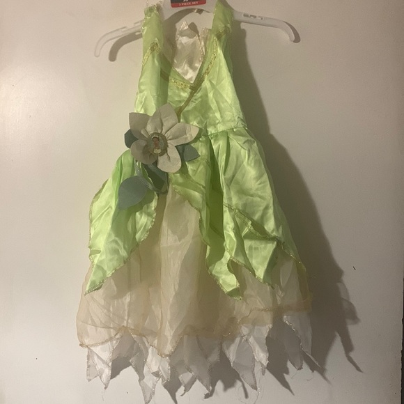 Princess Tiana Costume